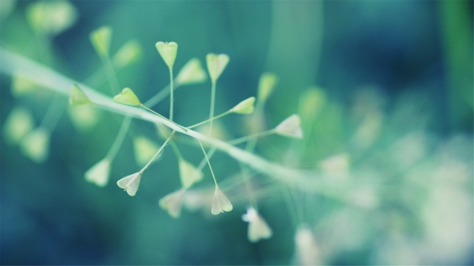 2020年沃凯生物春节放假通知